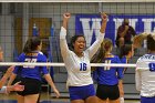 VB vs WSU  Wheaton Women's Volleyball vs Worcester State University. - Photo by Keith Nordstrom : Wheaton, Volleyball